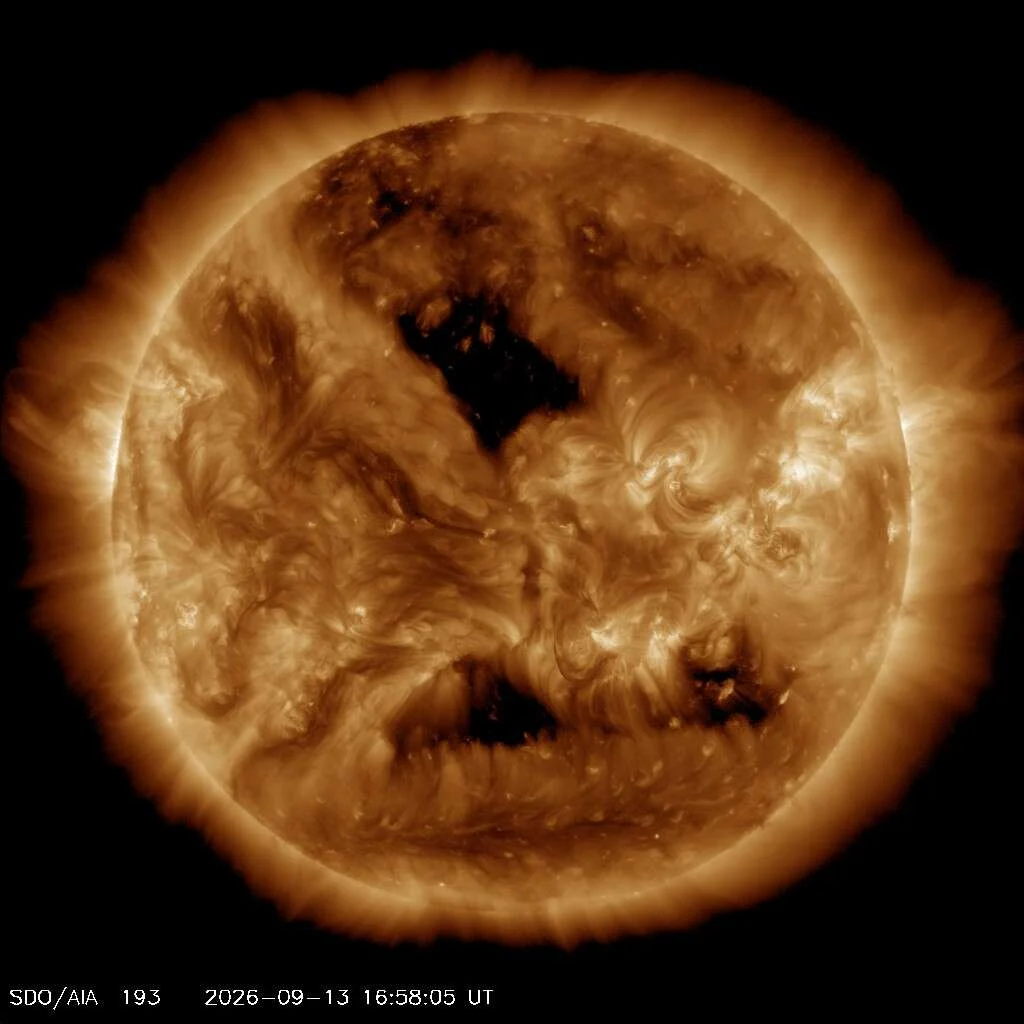 The Sun imaged by NASA's Solar Dynamics Observatory in extreme ultraviolet light, showing active regions and coronal loops